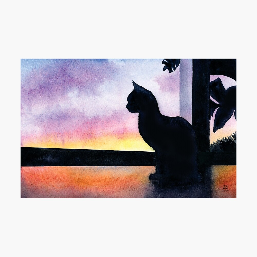 Poster Chat Regardant Un Coucher De Soleil A L Aquarelle Par Kellyro77 Redbubble