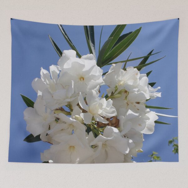 Item preview, Nerium Oleander White designed and sold by taiche.