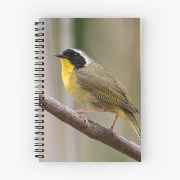 Item preview, Common Yellowthroat Warbler designed and sold by WorldDesign.