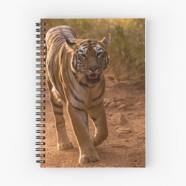 Item preview, Bengal Tiger  designed and sold by Kevin Tappenden.