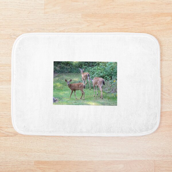 Item preview, Curious Fawn... deer designed and sold by RichImage.