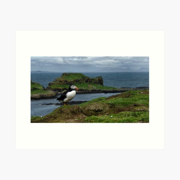 Item preview, Puffin admiring the view designed and sold by Karen Miller.
