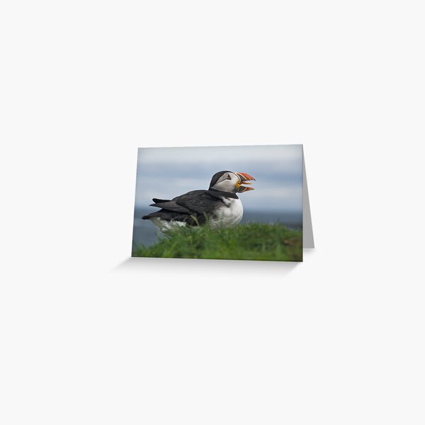 Item preview, Puffin designed and sold by Karen Miller.
