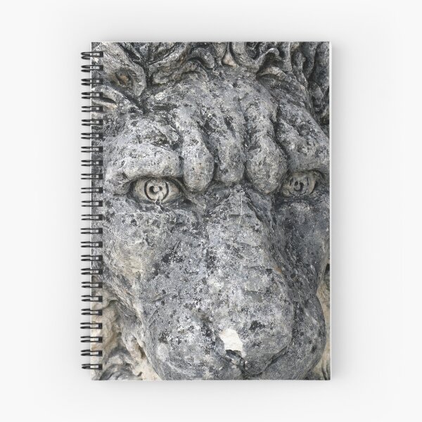 Item preview, Stern Visage designed and sold by Thaddeus Zajdowicz.