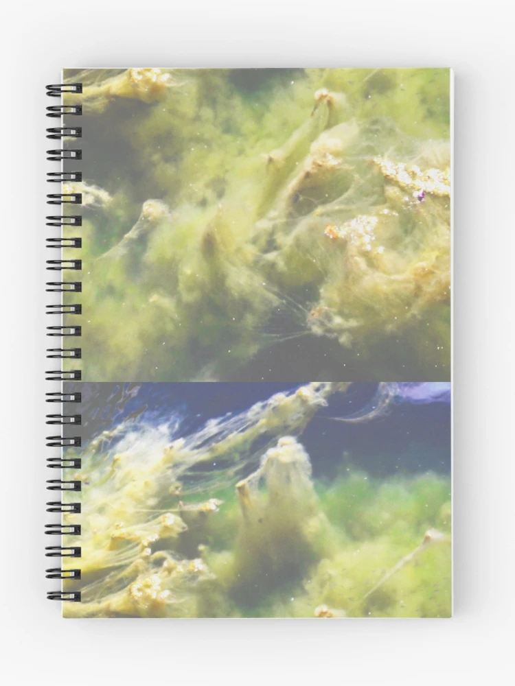 Thumbnail 1 of 3, Journal, Random Captures R113c designed and sold by Hyperion Photoart.