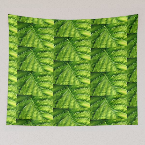 Item preview, Nature's solar panel designed and sold by Thaddeus Zajdowicz.