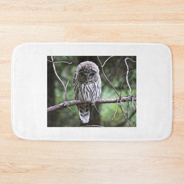 Item preview, Light Phase Barred Owl designed and sold by RichImage.