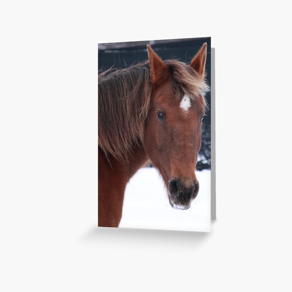 Brandy Greeting Card