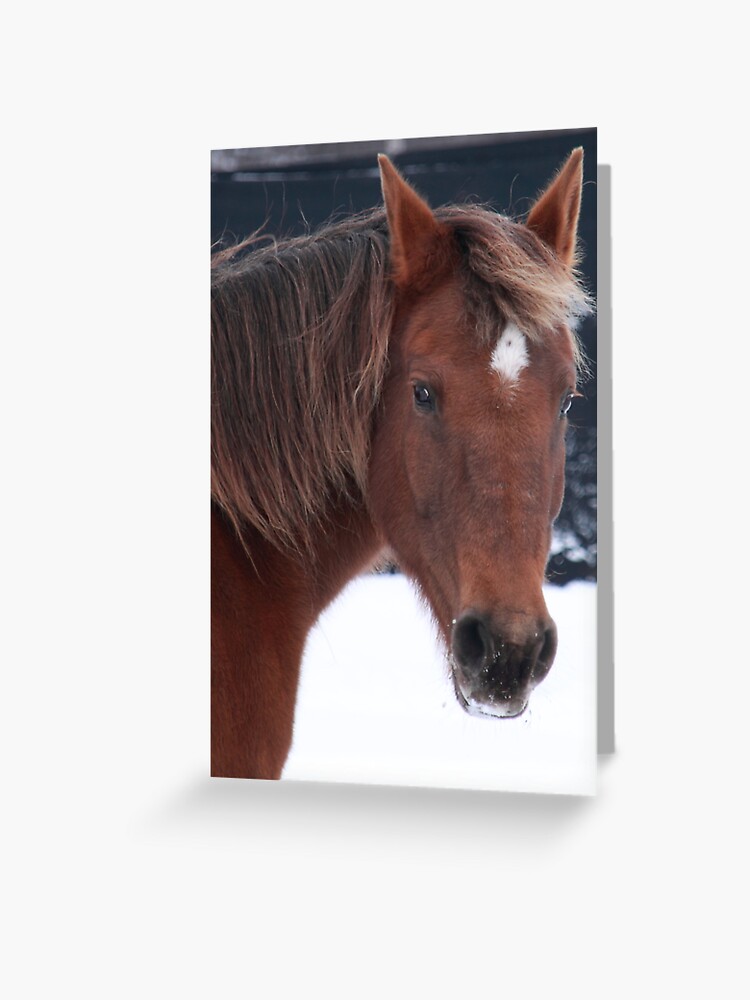Thumbnail 1 of 2, Greeting Card, Brandy designed and sold by spaterson.