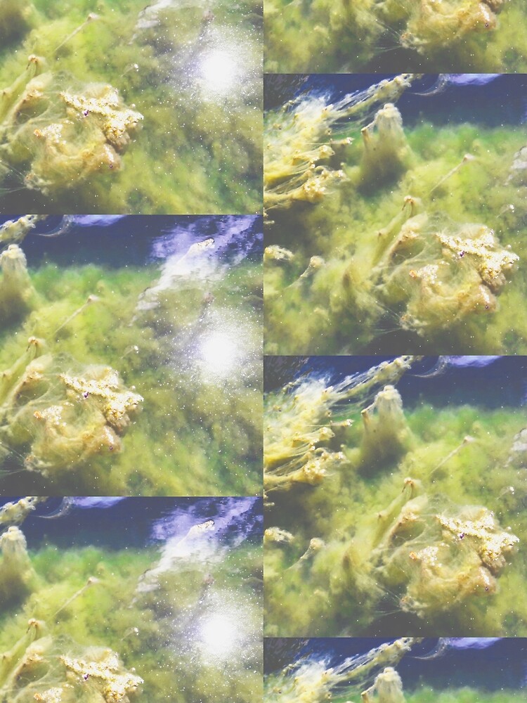 Thumbnail 3 of 3, Scarf, Random Captures R113c designed and sold by HyperionPhotoA.