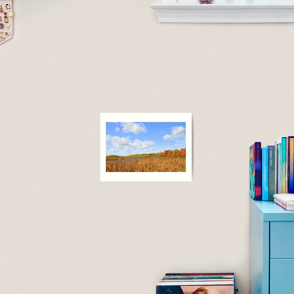 Item preview, Art Print designed and sold by spaterson.