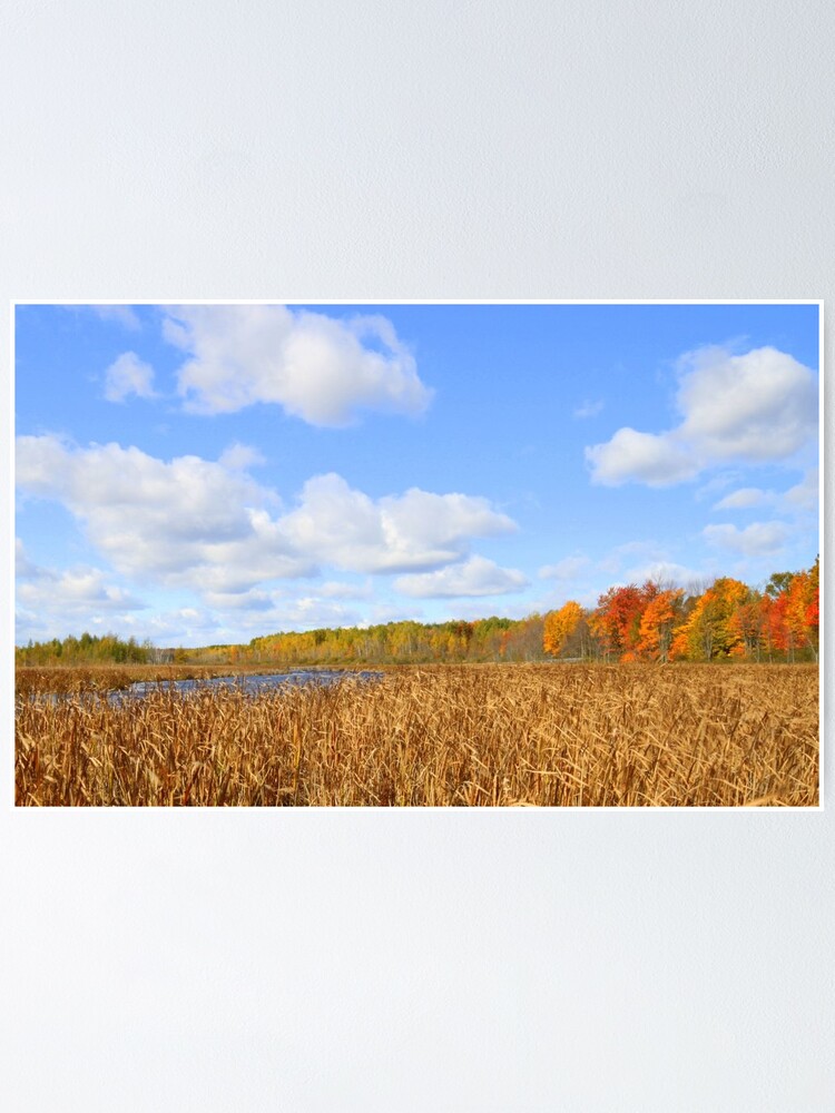 Thumbnail 1 of 3, Poster, Autumn Mer Bleu designed and sold by spaterson.