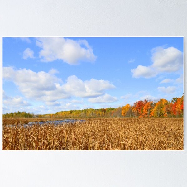 Autumn Mer Bleu Poster