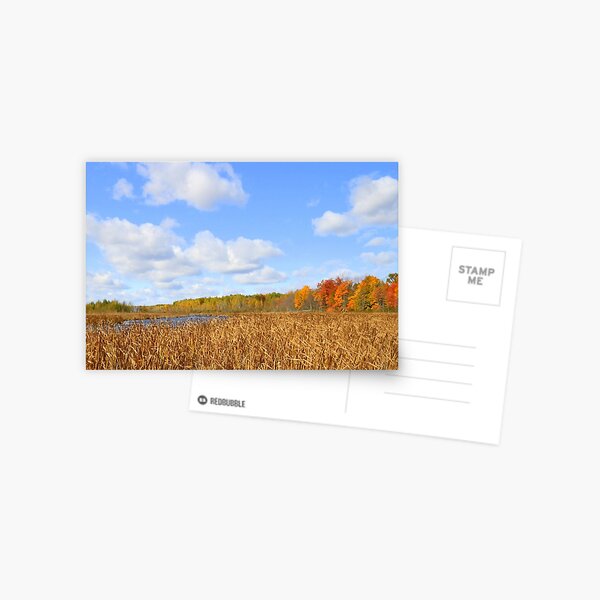 Autumn Mer Bleu Postcard