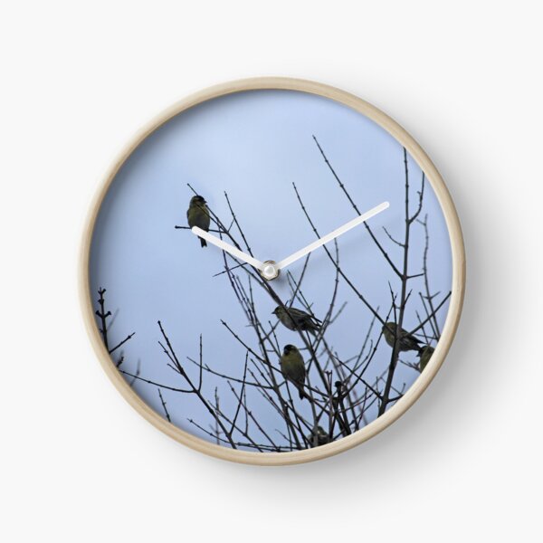 Item preview, Winter Birds on Bare Branches designed and sold by Anna Lemos.