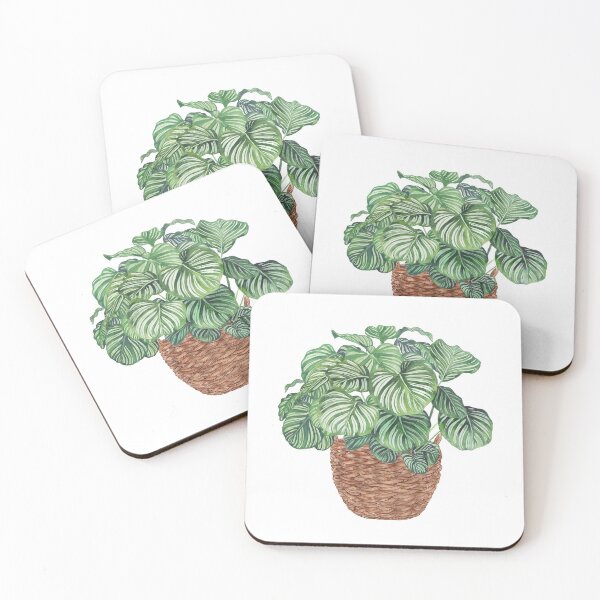 Item preview, Potted Calathea Orbifolia Plant designed and sold by Ana Moguš.