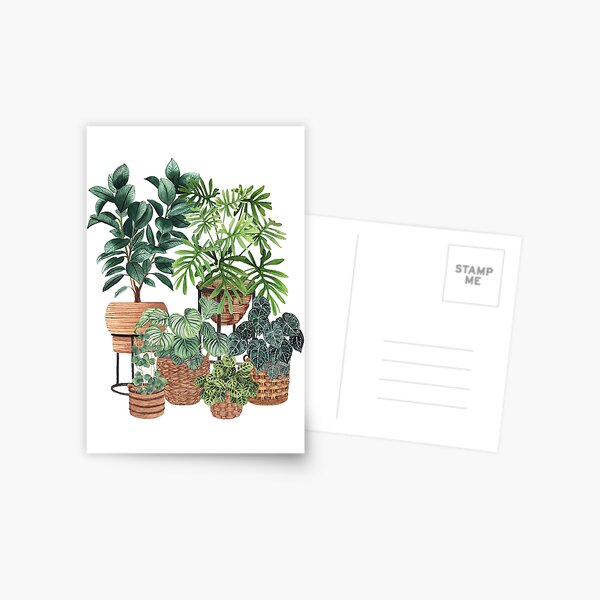 Item preview, Potted Plants Collection 3 designed and sold by Ana Moguš.
