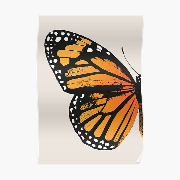Monarch Butterfly | Left Wing | Vintage Butterflies | Butterfly Wings | Diptych | Poster
