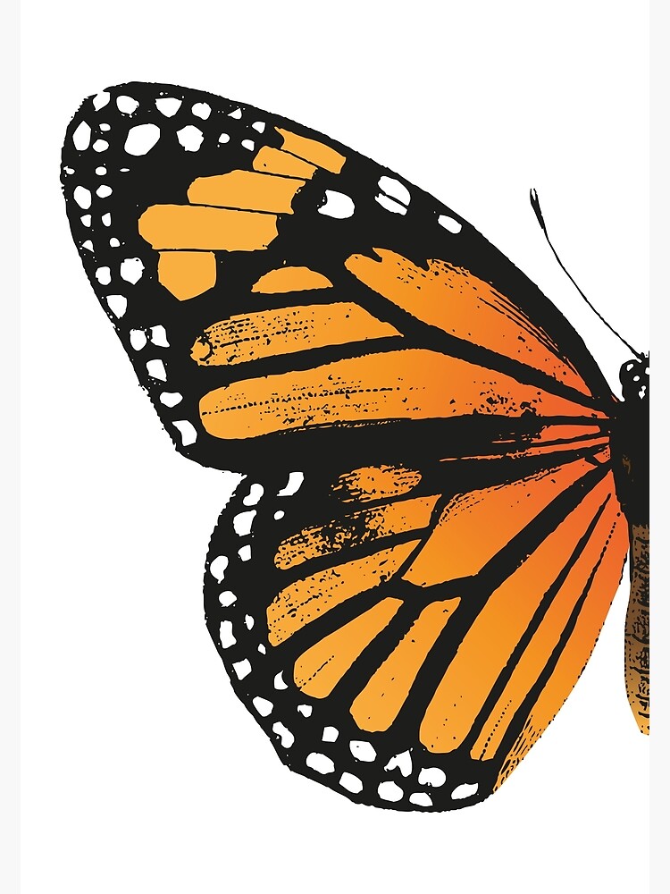 Disover Monarch Butterfly | Left Wing | Vintage Butterflies | Butterfly Wings | Diptych | Premium Matte Vertical Poster