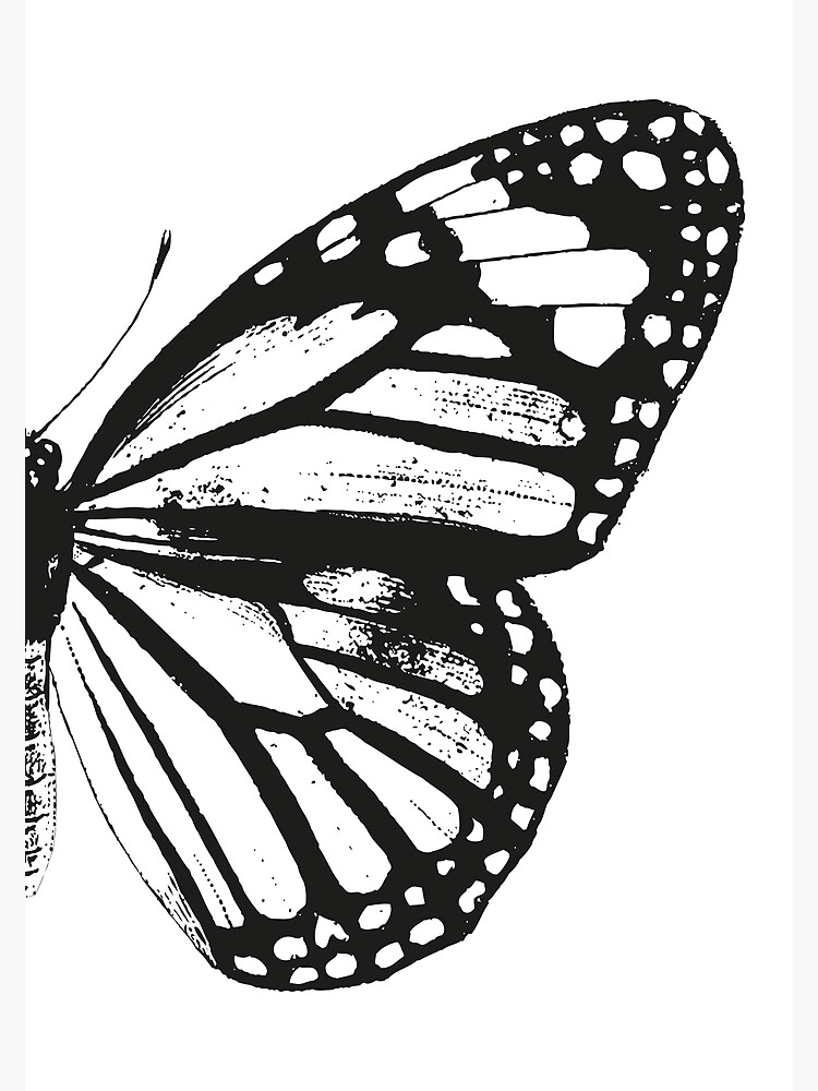 Disover Monarch Butterfly | Right Wing | Vintage Butterflies | Butterfly Wings | Diptych | Black and White | Premium Matte Vertical Poster
