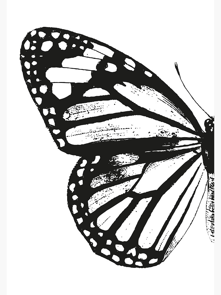 Disover Monarch Butterfly | Left Wing | Vintage Butterflies | Butterfly Wings | Diptych | Black and White | Premium Matte Vertical Poster