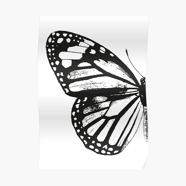 Monarch Butterfly | Left Wing | Vintage Butterflies | Butterfly Wings | Diptych | Black and White | Poster