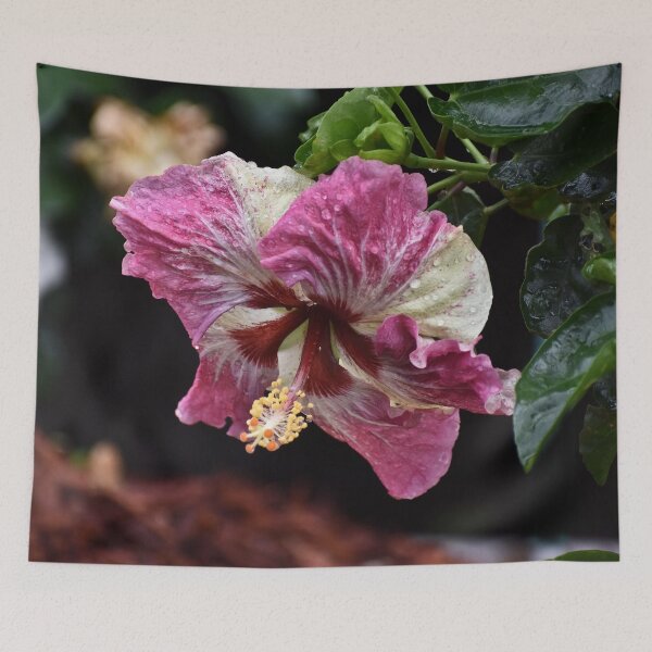 Item preview, Portrait of a Hibiscus designed and sold by RoxanneG.