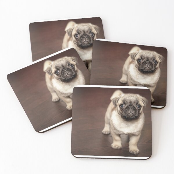Item preview, Sweet pug designed and sold by rice-shirts.
