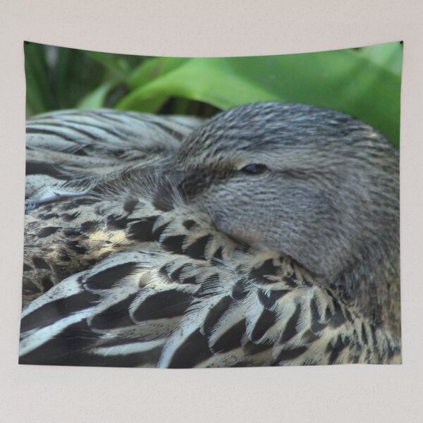 Item preview, Sleepy mallard duck close-up 2 designed and sold by Anna Lemos.