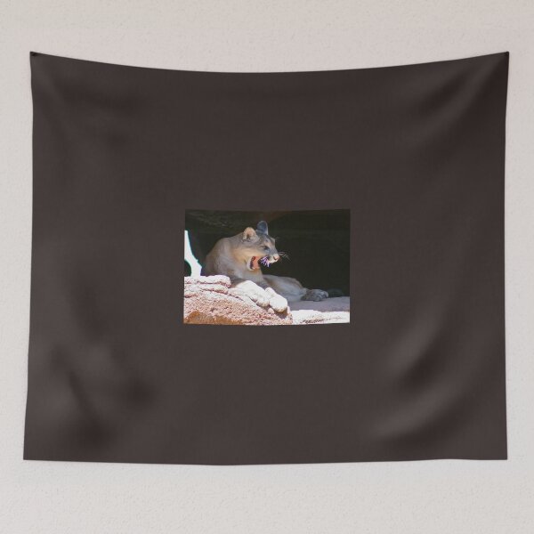 Item preview, A Yawn or a Growl? designed and sold by RichImage.