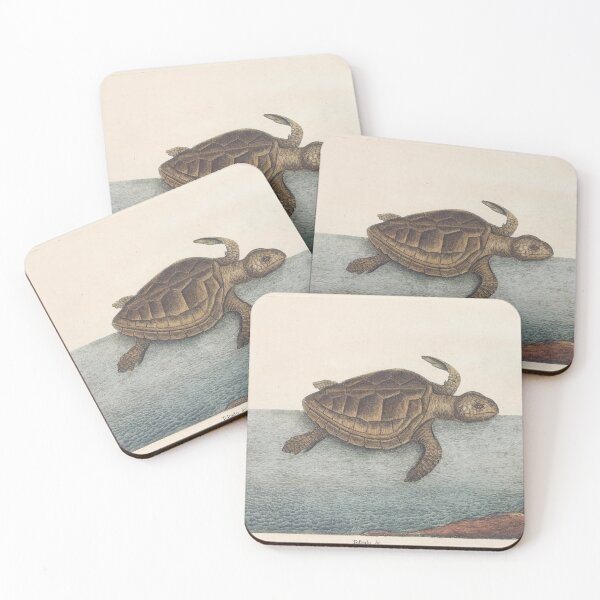 Item preview, Sea Turtle Illustration by Mark Catesby, 18th Century designed and sold by Vintage Wall Art.