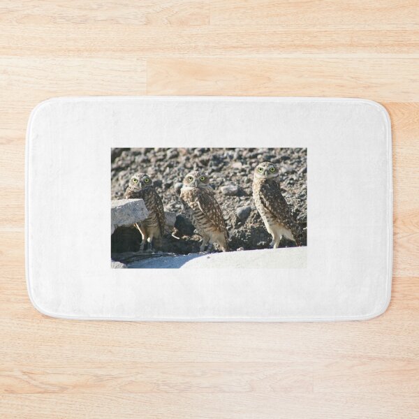Item preview, Burrowing Owls... designed and sold by RichImage.