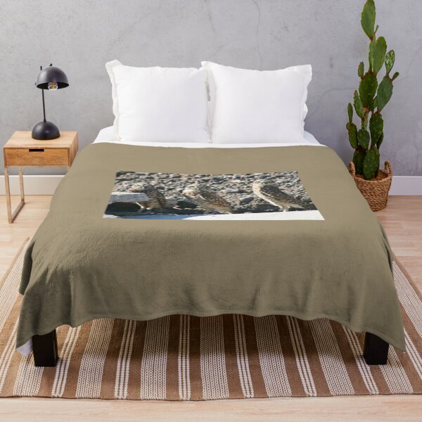Item preview, Burrowing Owls... designed and sold by RichImage.
