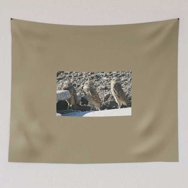 Item preview, Burrowing Owls... designed and sold by RichImage.