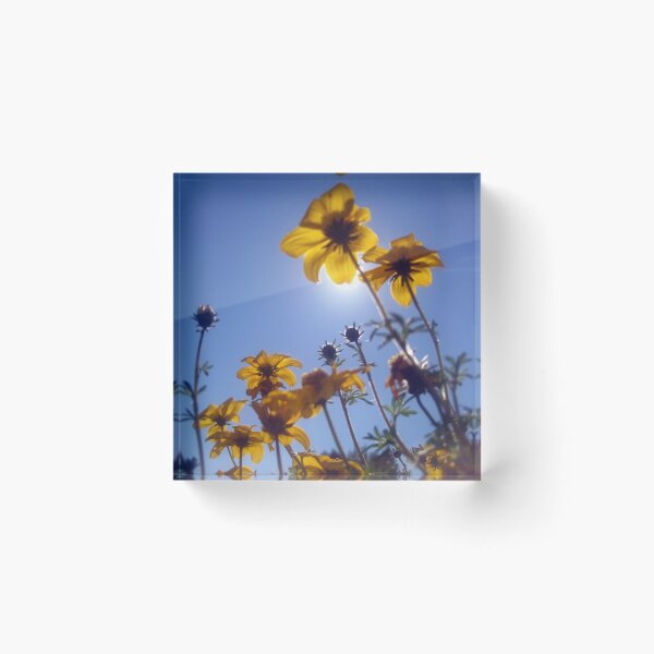 Item preview, Summer Sky Flowers 2 designed and sold by Jaeda DeWalt.