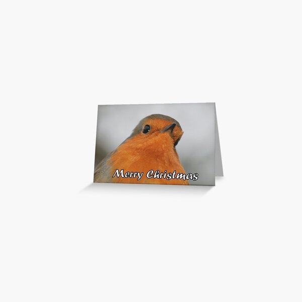 Merry Christmas - Robin Greeting Card