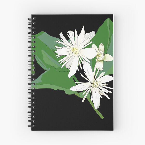 Item preview, Traveler's Joy (Clematis Vitalba) Illustration designed and sold by mostlybeans.