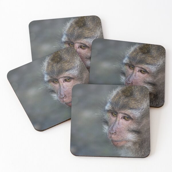 Item preview, Monkey Portrait designed and sold by Sheri Skocdopole.
