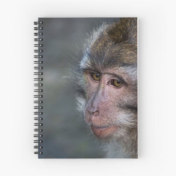 Item preview, Monkey Portrait designed and sold by Sheri Skocdopole.