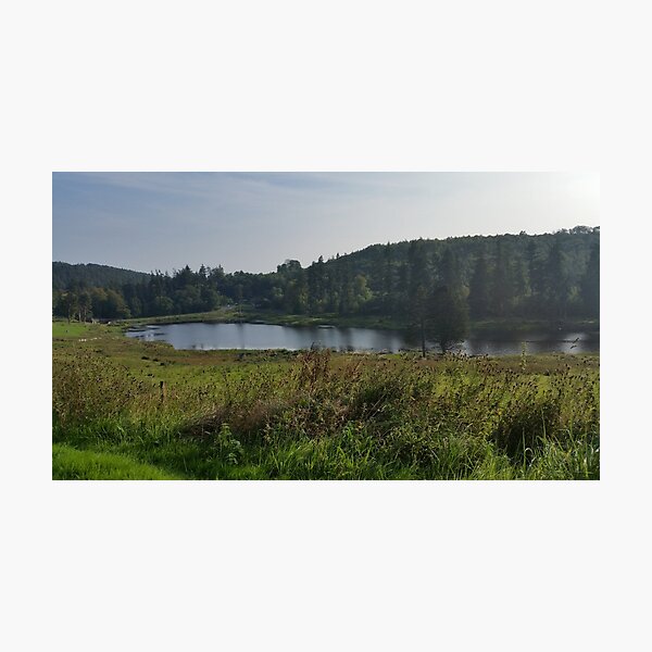 Cragside Entrance Photographic Print