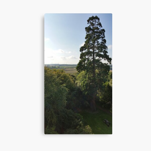 From the top of Preston Tower Canvas Print