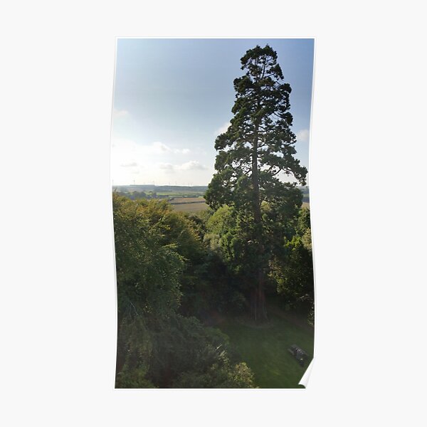 From the top of Preston Tower Poster