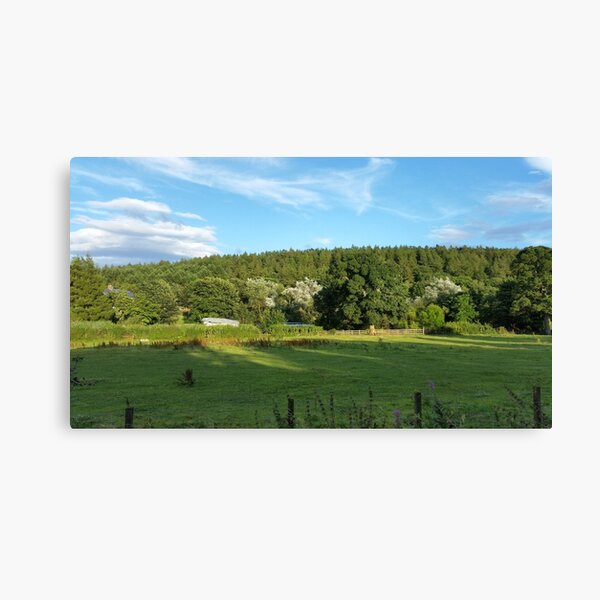 Old Esh Winning Railway Line Canvas Print