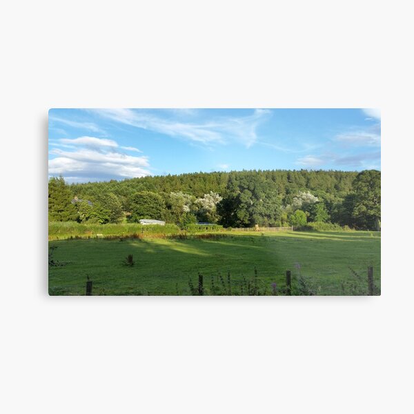 Old Esh Winning Railway Line Metal Print