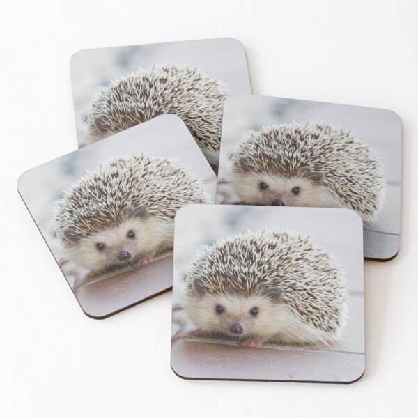 Item preview, Sweet hedgehog designed and sold by rice-shirts.