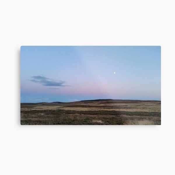 Moon Moor Metal Print