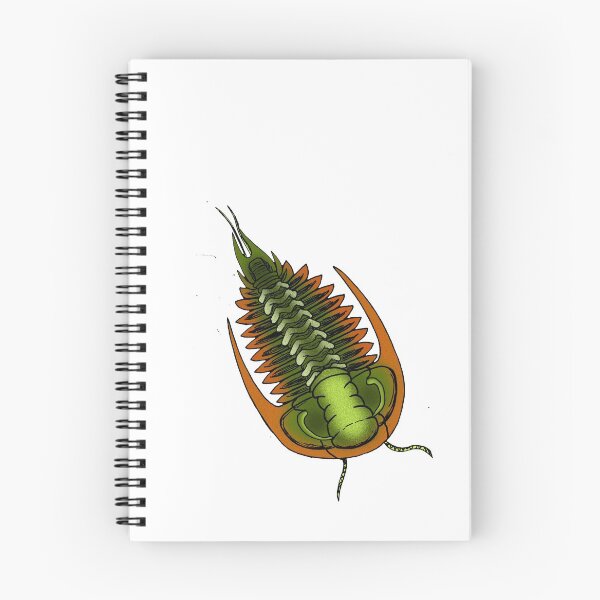 Item preview, Mexicaspis designed and sold by Stanton.
