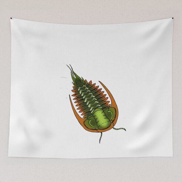 Item preview, Mexicaspis designed and sold by Stanton.