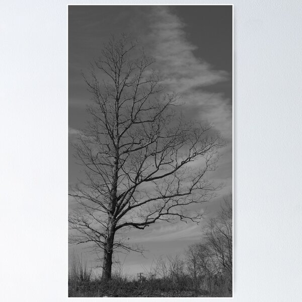 Item preview, Desolate designed and sold by ishotit4u.