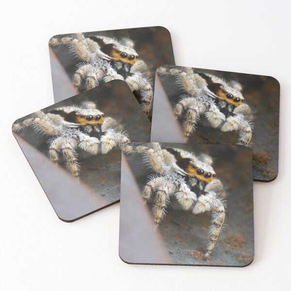 Item preview, ©NS Colmillos IIA. designed and sold by OmarHernandez.